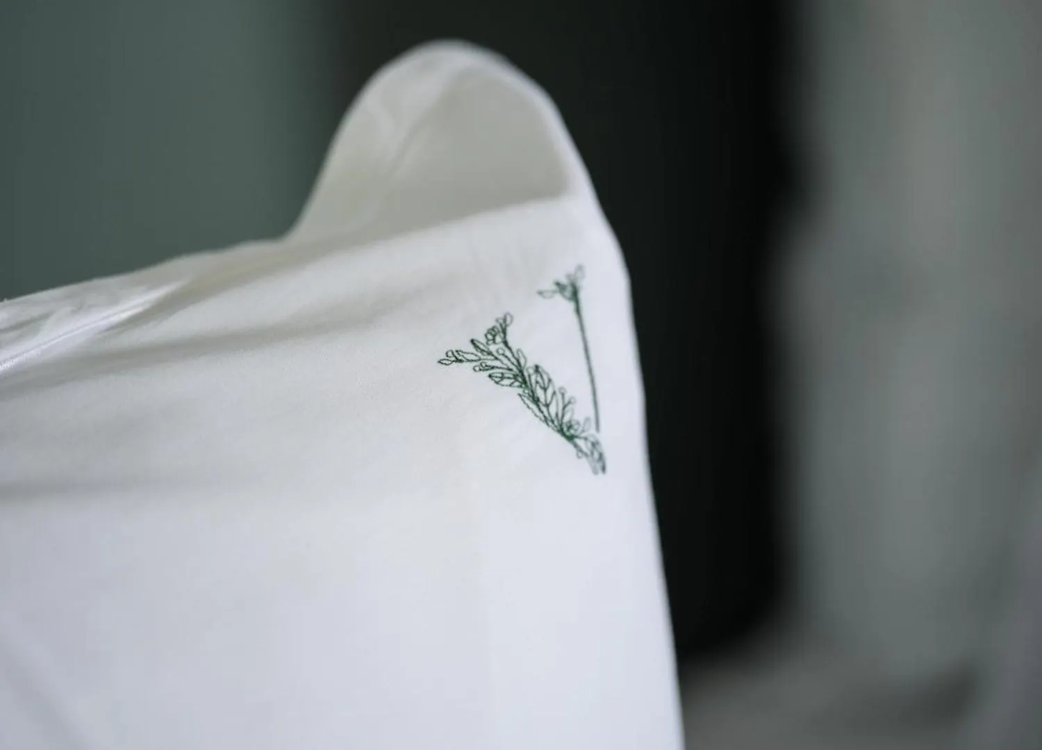 Hotel Domaine Le Verbois Chantilly Francia